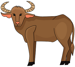 Buffalo