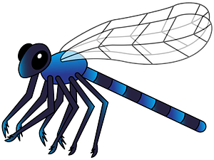 Dragonfly