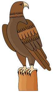 Aigle