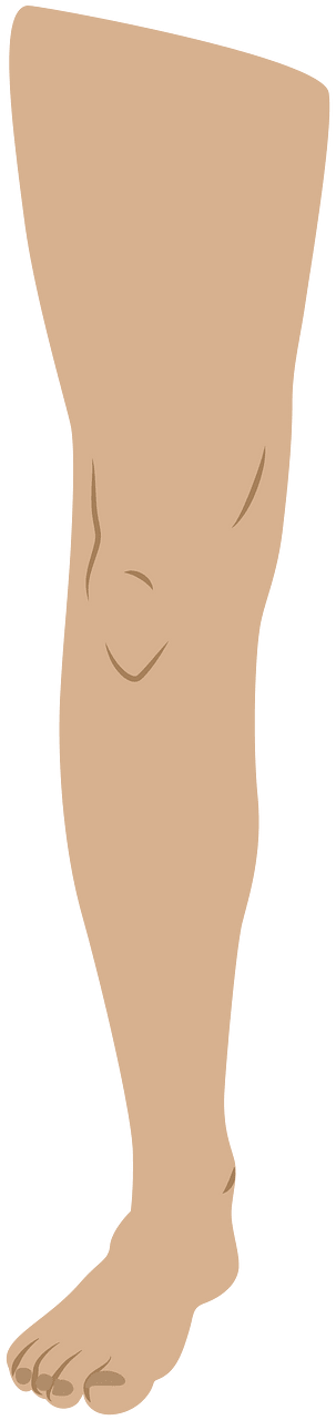 Tungkai