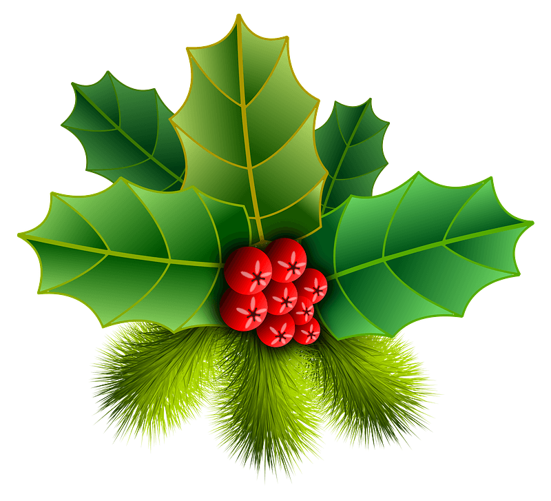 Holly