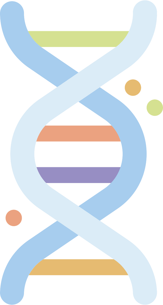 DNA