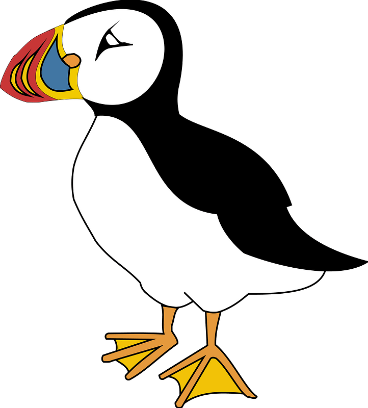 Atlantic Puffin