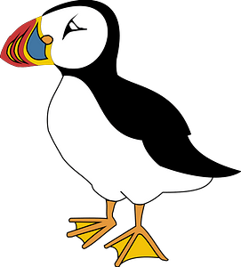 Atlantic Puffin