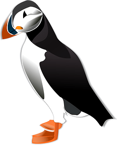 Atlantic Puffin