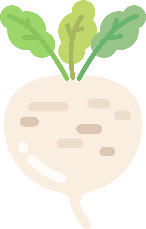 芜菁
