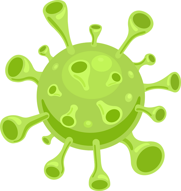 Bacteria