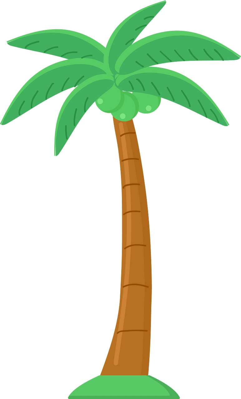 코코넛