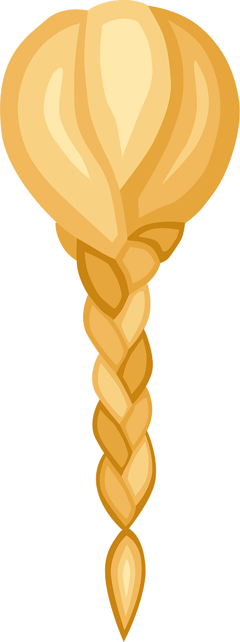Braid