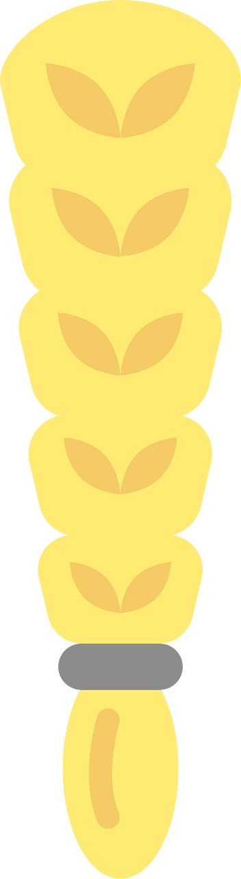 Braid