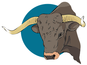 Bull head