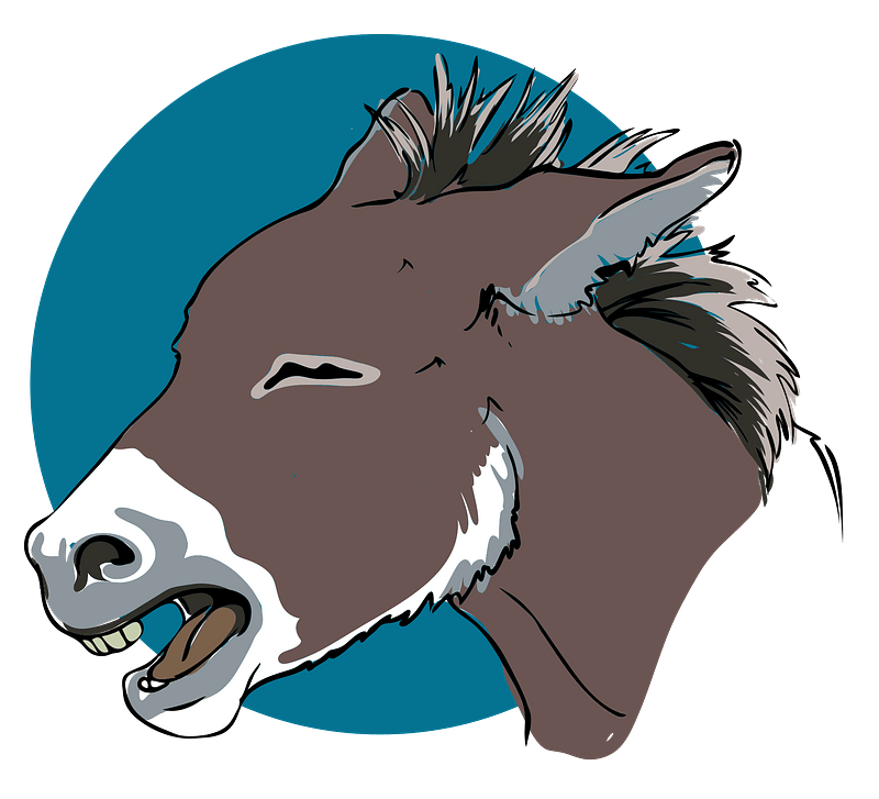 Donkey head