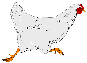 Running Hen