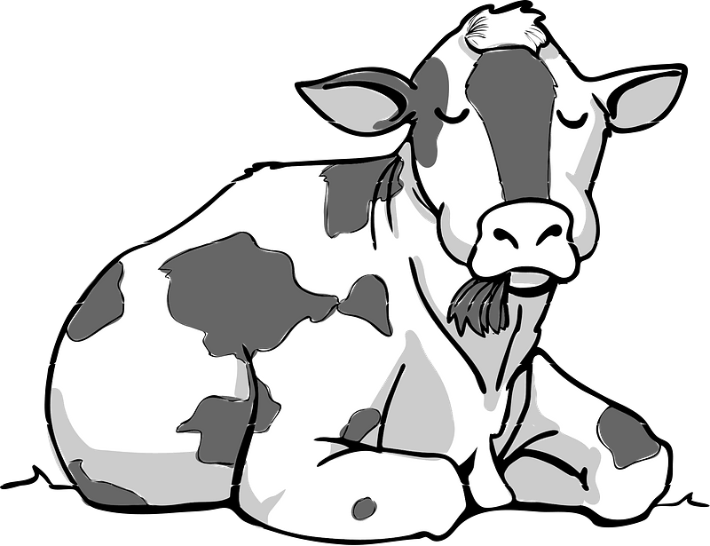 Lying Cow