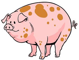 Cartoon Pig