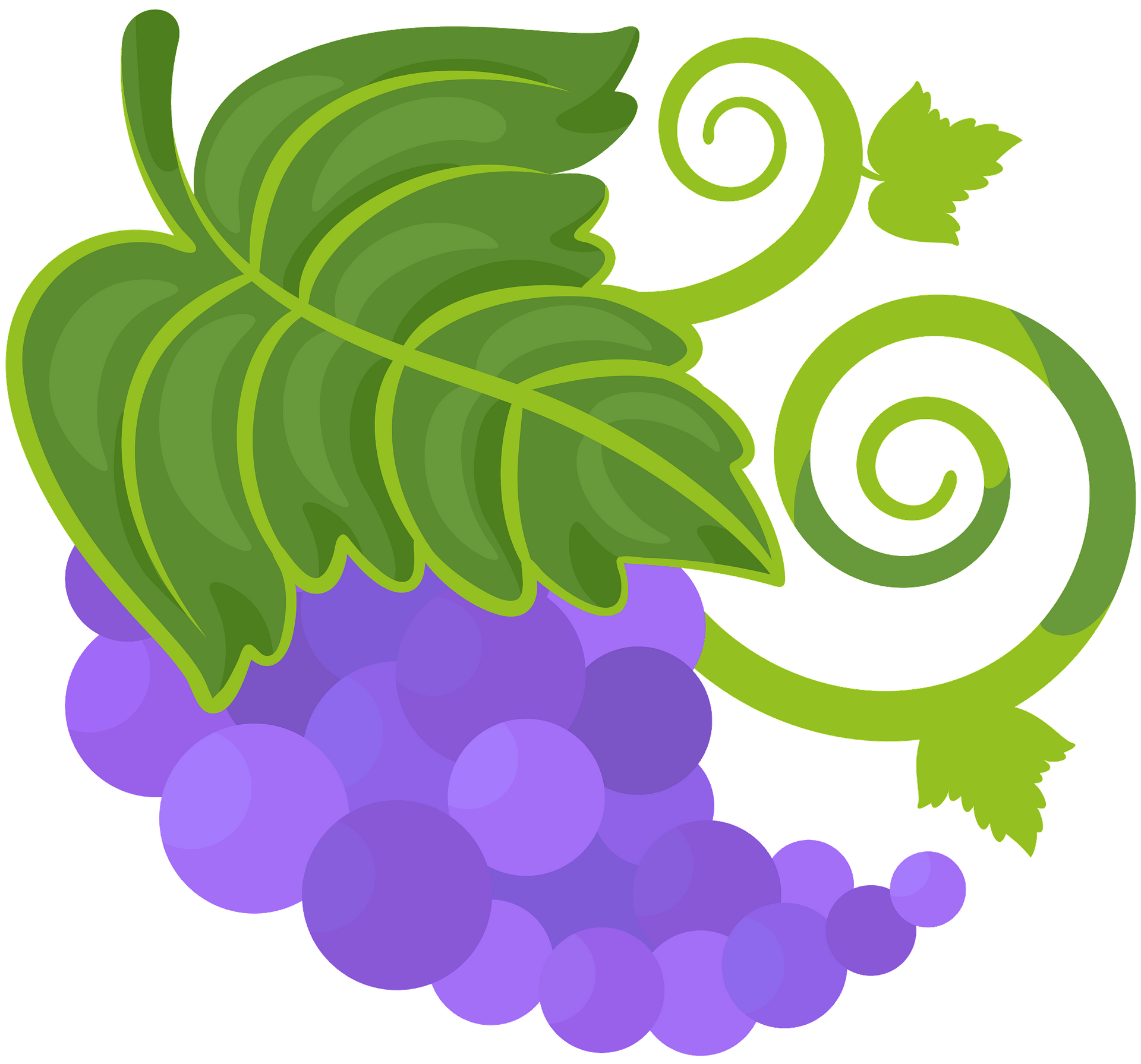 Grape - Free vector clipart images on creazilla.com