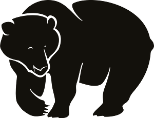 Black bear