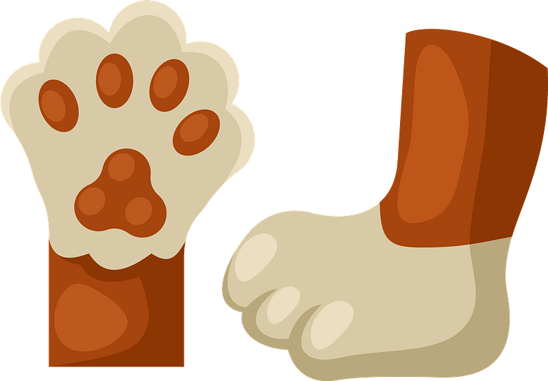 Cat feet - Free vector clipart images on creazilla.com