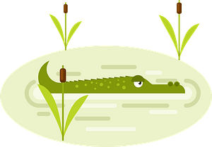 Crocodile in water
