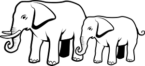 Elephants