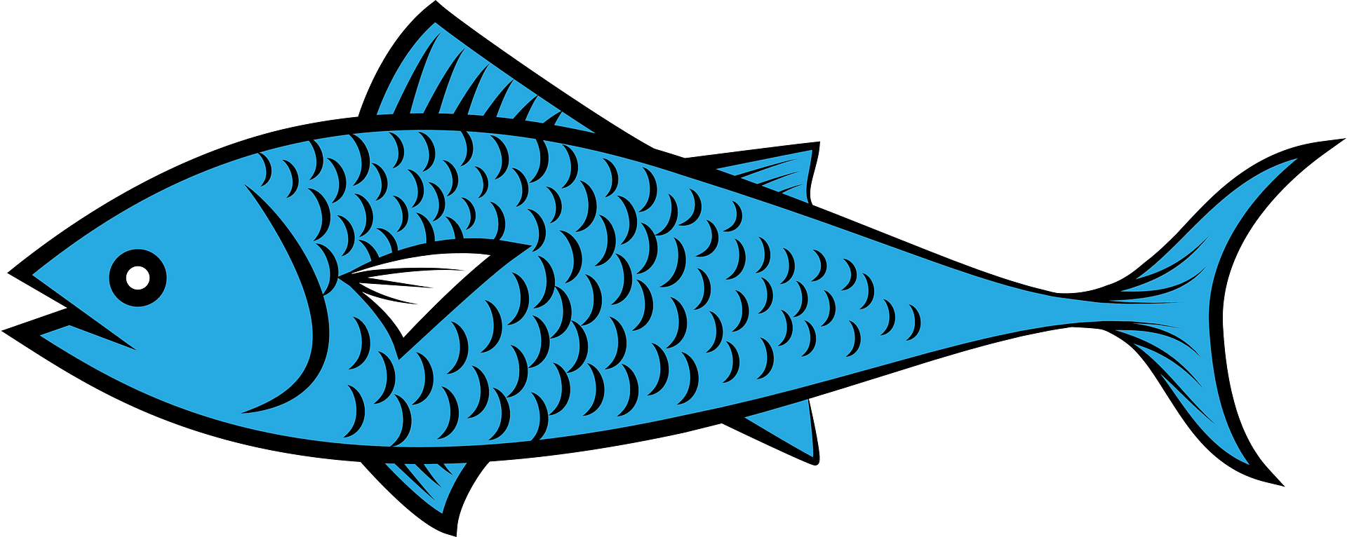 Fish Free vector clipart images on creazilla