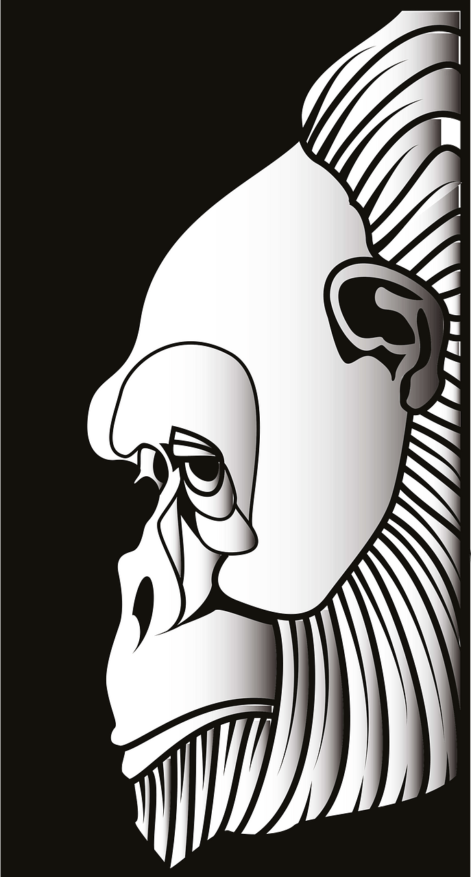 Gorilla