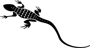 Lagarto