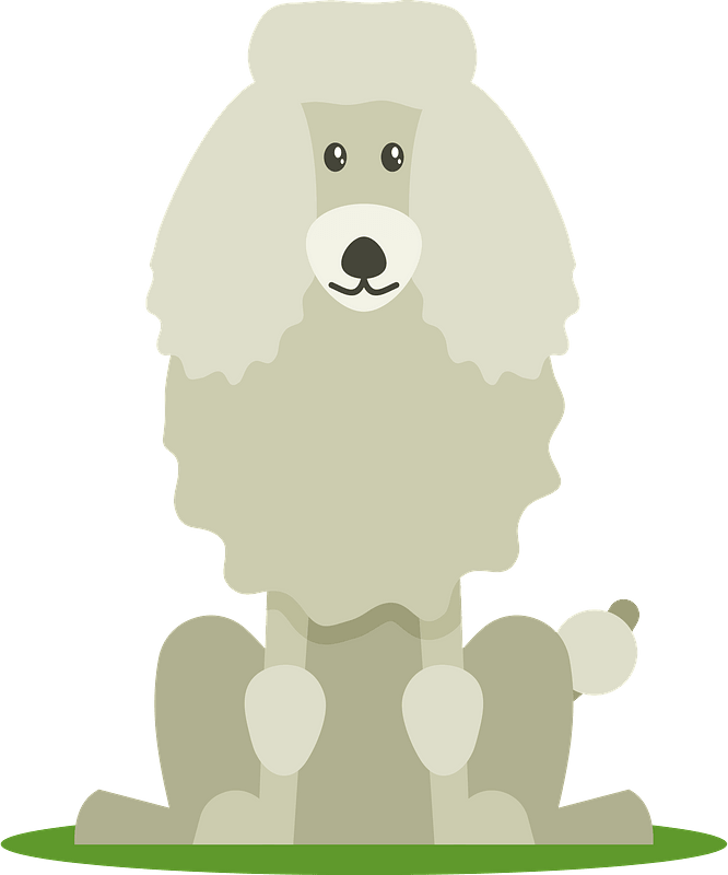 Pudel