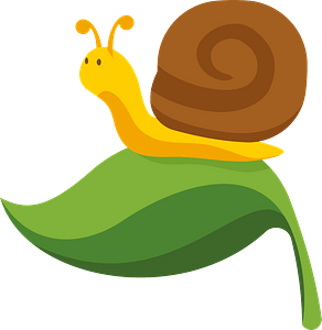 Snail on the leaf