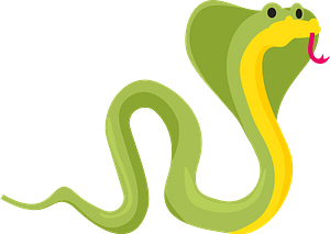 Snake cobra
