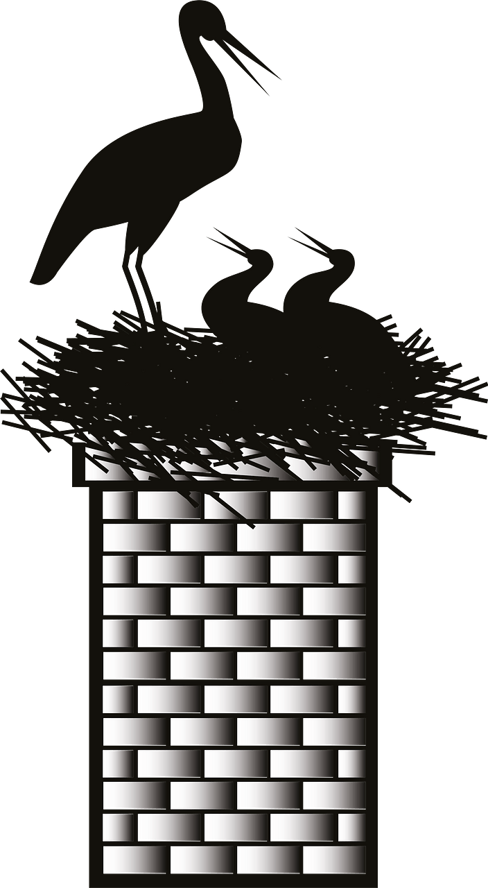 Stork nest