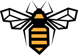 Wasp bee