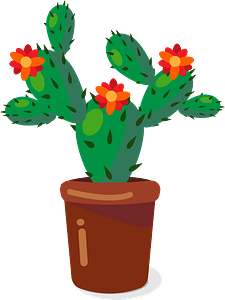 Cactus