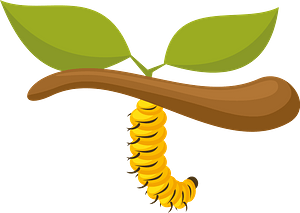 Caterpillar on branch