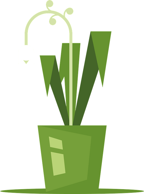 Green flower in pot