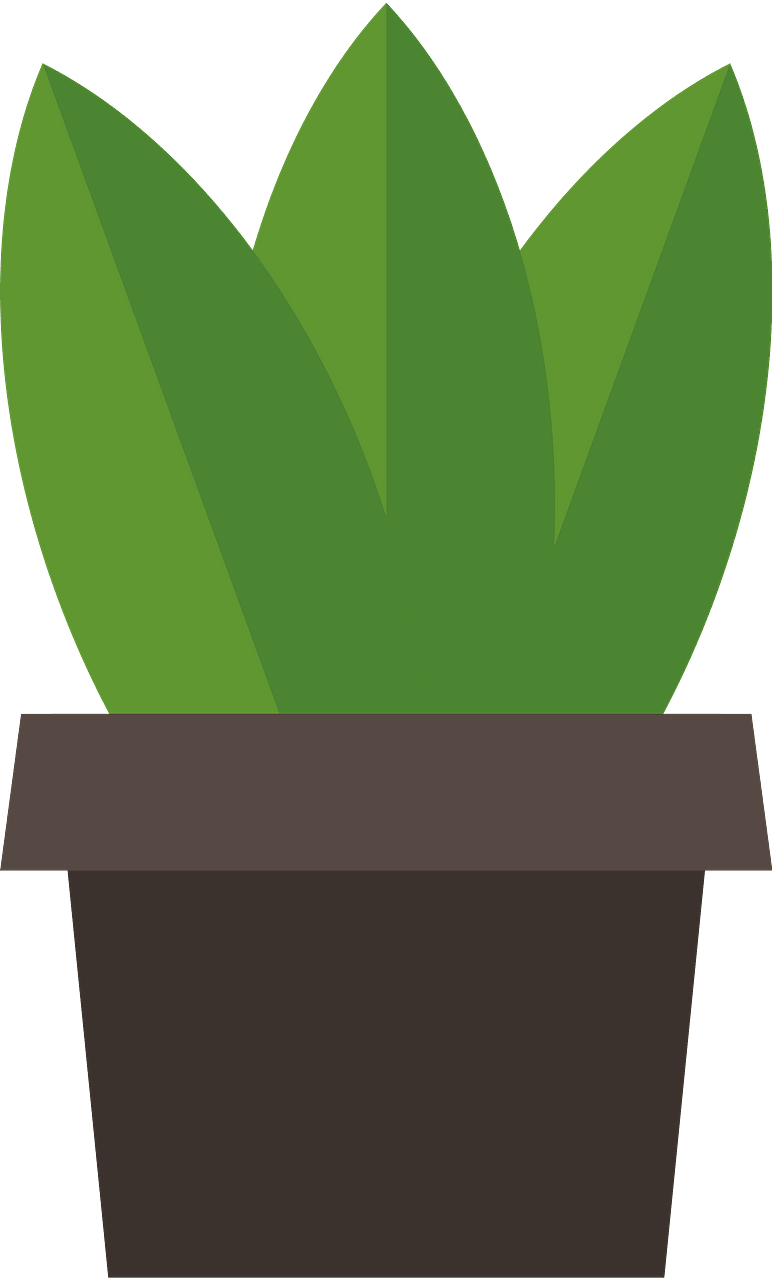 Potted plant