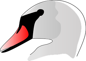 Swan Head