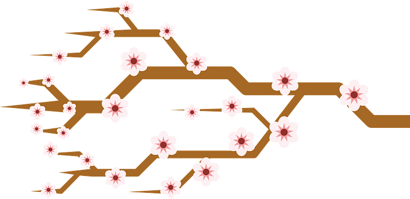 Sakura cherry branch pdv