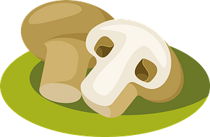 Champignons mushrooms