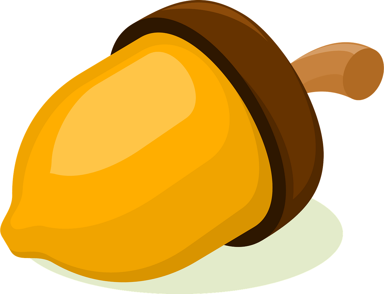 nut Nut clipart - Free vector clipart images on creazilla.com