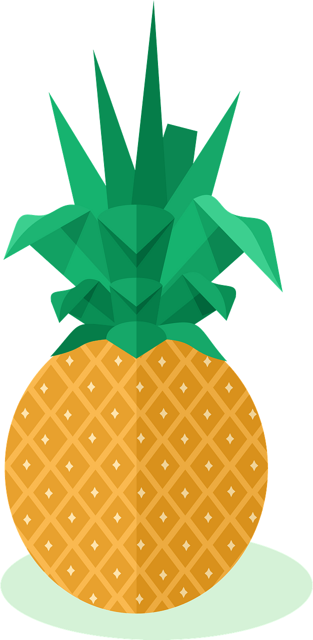 Pineapple fruit