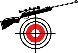 Target and gun