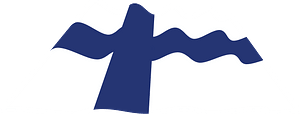 Finland wavy flag