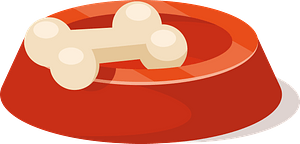 Bone in a dog bowl