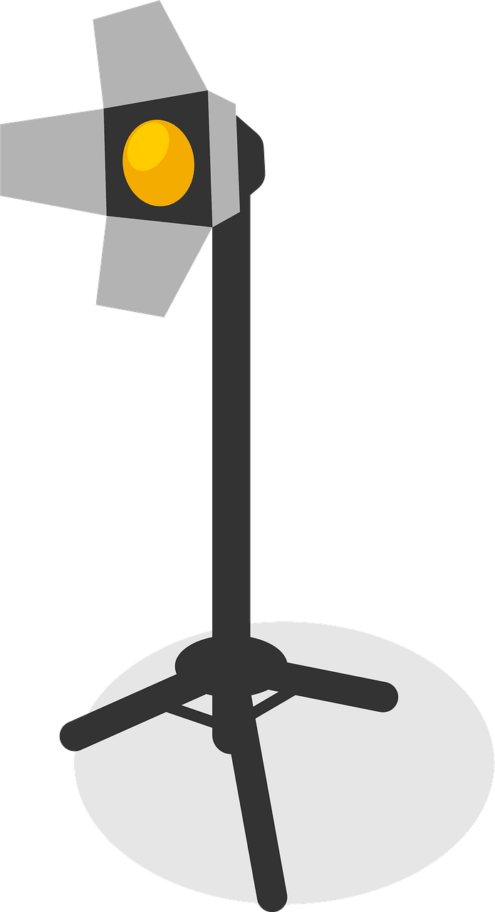 Camera lights