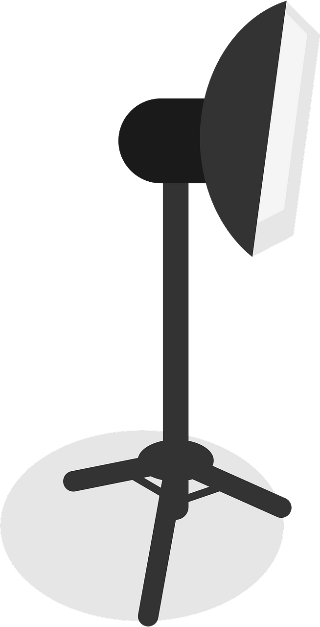 Camera lights
