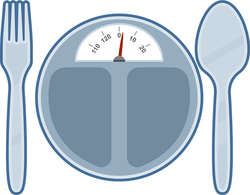 Diet weight scale