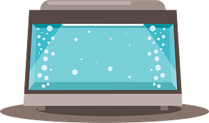 Empty aquarium