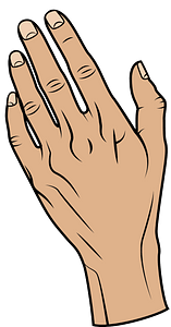 Hand