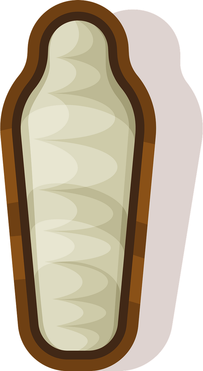 Mummy in coffin